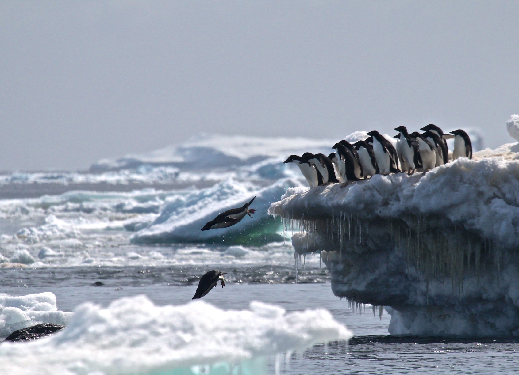 Danger Islands Expedition Image (8).jpg